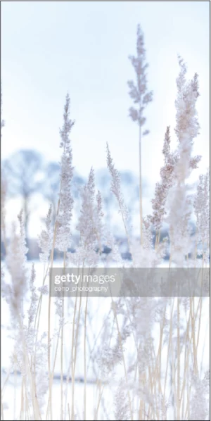 Winter test 3