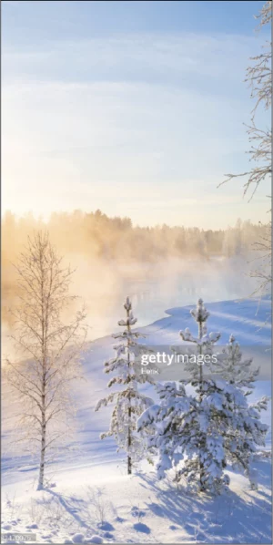 Winter test 1